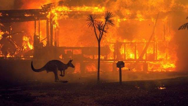 Australian Fires