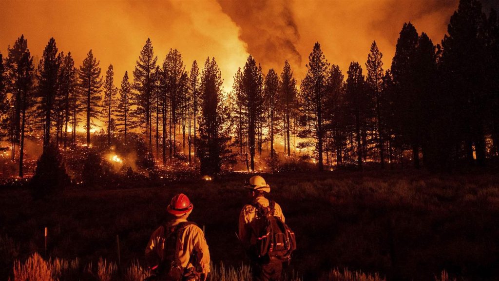 Firefighters monitoring wildfire in Plumas National Forest, California in early July 2021.
Image: Noah Berger - AP