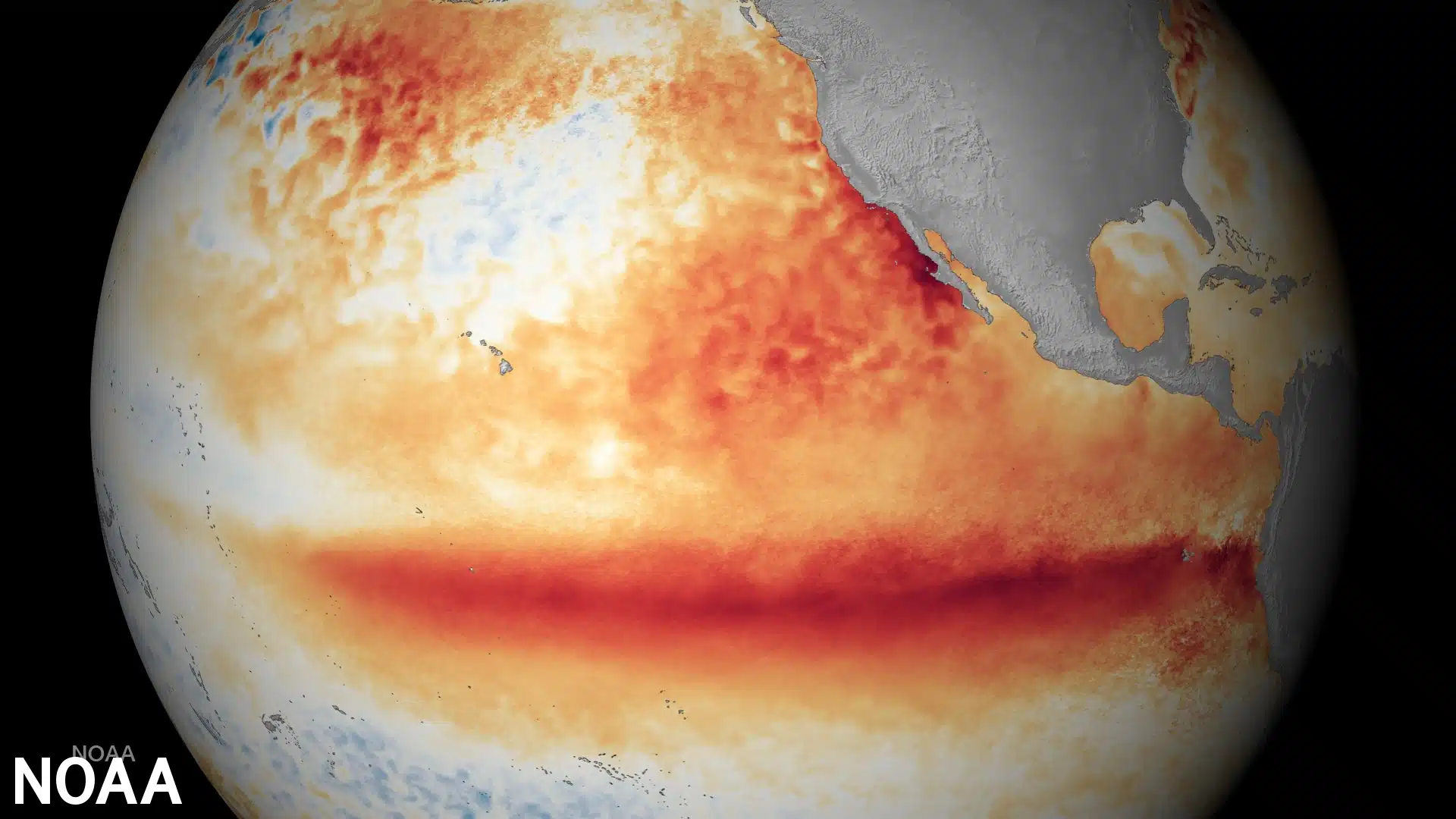 Satellite image showing El Niño sea surface temperature departure from norm 2015.11.12 - NOAA