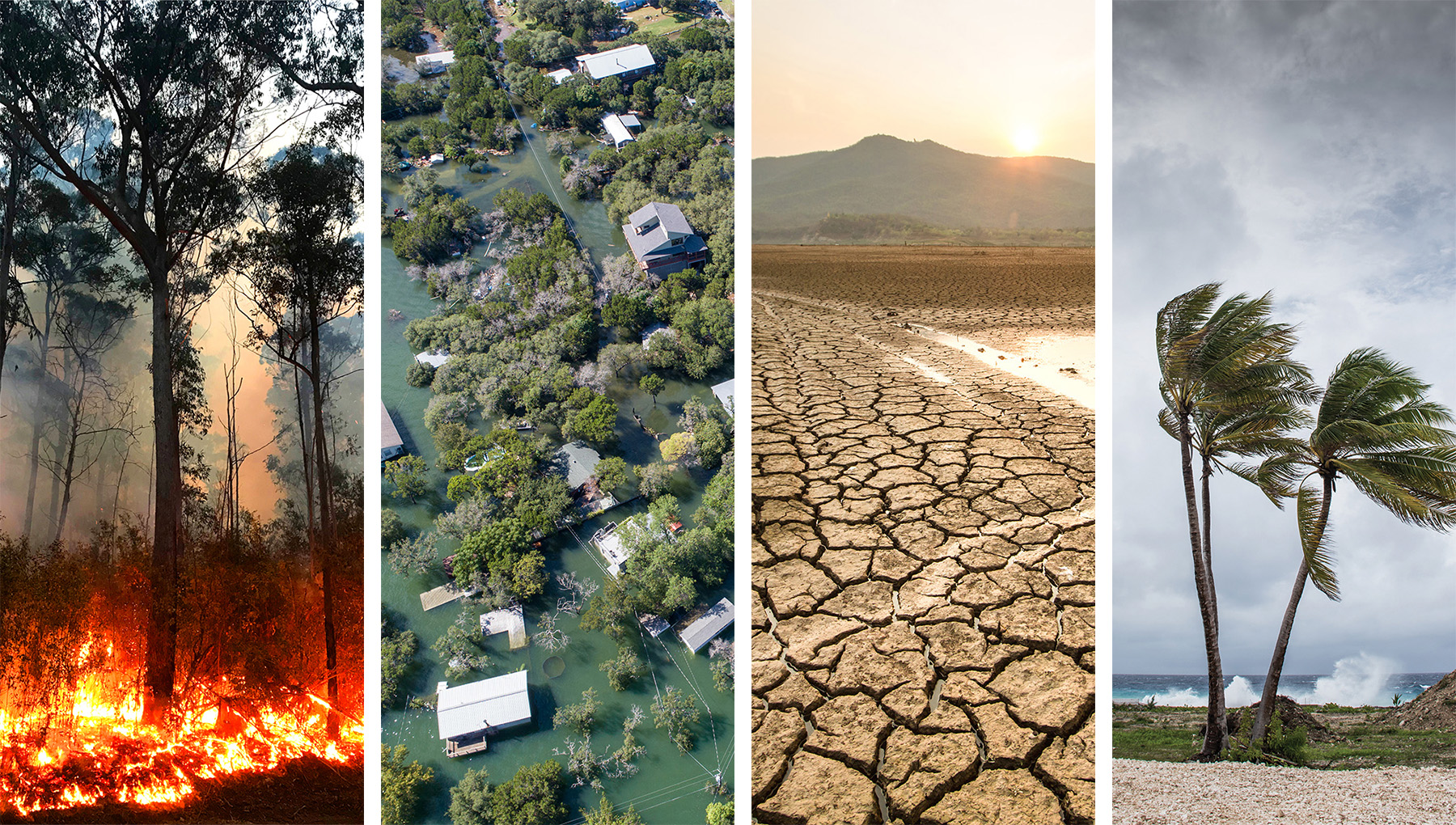 Picture of fire, flood, drought and strong wind.