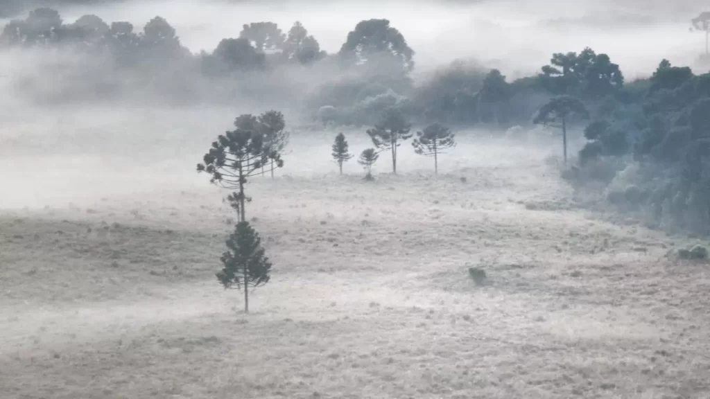 Field covered with ice and cold fog