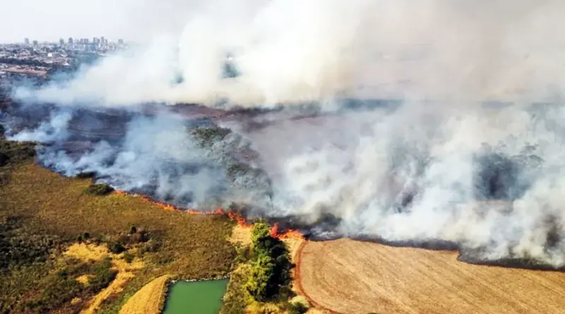 incendio altamira