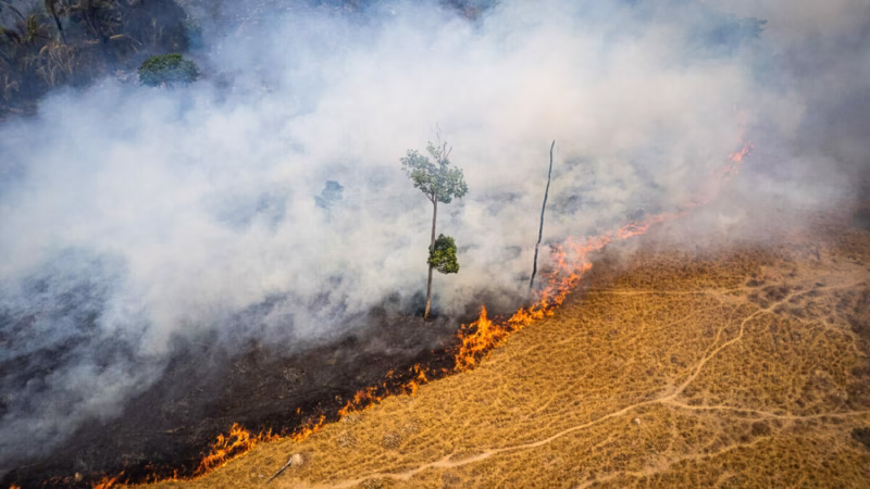 incendio novo progresso